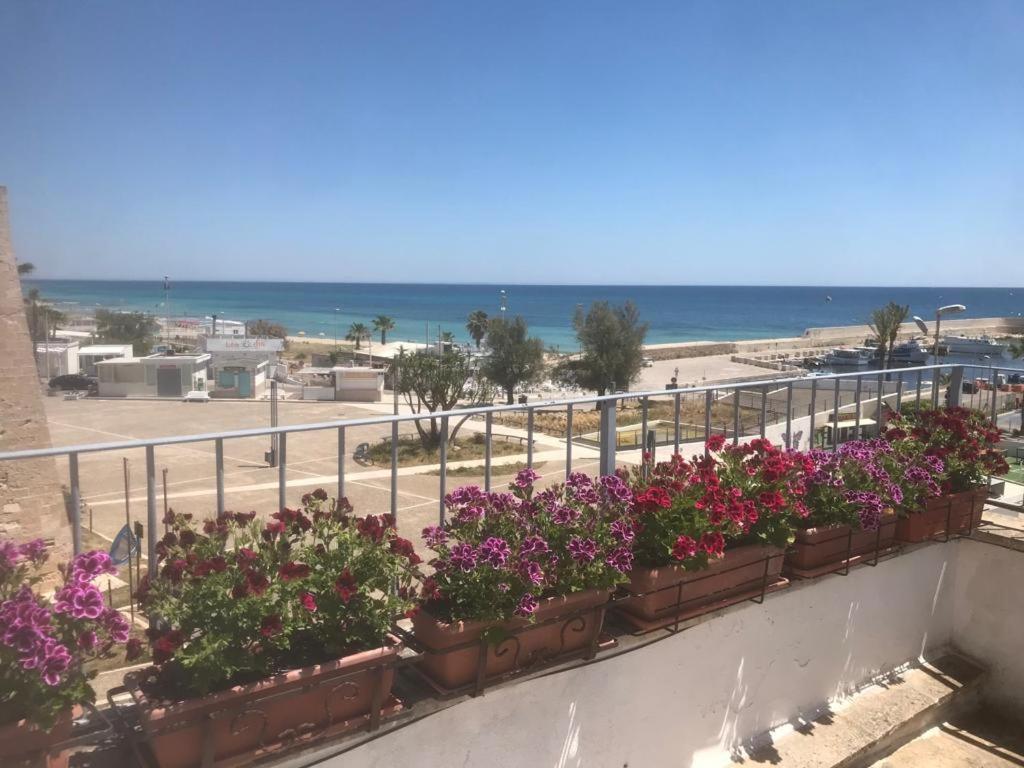 A 100metri Dal Mare Difronte Torre Saracena.